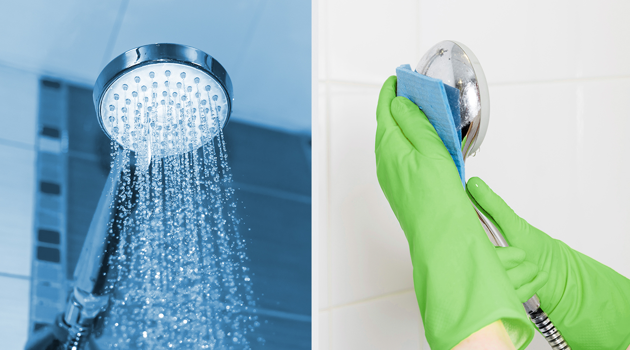 How to choose the best shower cleaner How to choose the best shower cleaner